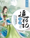 太子追妃记txt