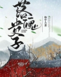落魄贵子 小说