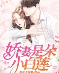 小娇妻对应的词是啥
