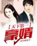 天下第一豪婿叶辰柳若雪