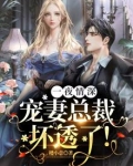 一夜情深总裁宠妻甜蜜蜜电视剧