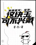 直播鉴宝:宝友,这块玉可不兴戴