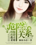 危险关系，魅影首席的出逃妻