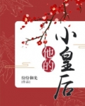 他的小皇后免费阅读无弹窗