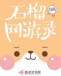 石榴游戏官方网站
