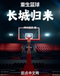 重生篮球小说完本排行榜