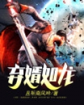 弃婿如龙叶辰完整版免费阅读