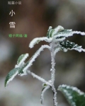 短篇小说：小雪