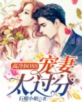 高冷BOSS宠妻太过分