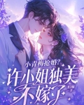 小青梅小说32章