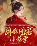 冥王契妃火葬场后哥哥们用命团宠小萌宝TXT下载