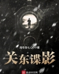 关东谍影小说
