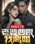 我的老婆修仙归来停更了吗