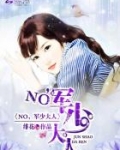 NO,军少大人