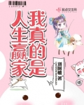 我真的是人生赢家讲的是什么故事