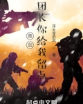 亮剑:团长你给我留点