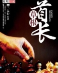 草根崛起王一帆 小说