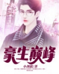 豪生是哪个集团