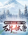 窃汉小说