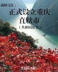 战略交汇:正式设立重庆直辖市