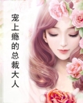 宠上瘾的总裁大人小说