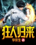 狂人归来萧辰