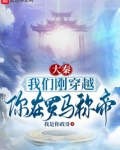 穿越秦朝打罗马的小说