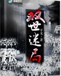 双世迷局