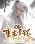 红楼重生贾环的小说