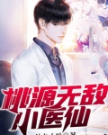 都市无敌医仙 小说