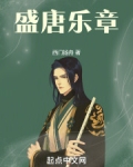 盛唐乐队主演