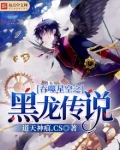 吞噬星空之黑龙传说 八零电子书
