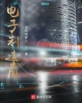 电子制造商小说