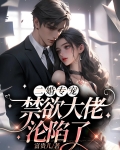 二婚宠妻全文免费阅读