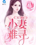 《名门豪宠:小妻pk大叔》