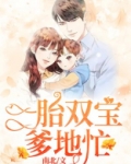 一胎双宝爹地忙免费阅读小说笔趣阁
