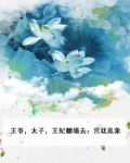 王爷,太子,王妃翻墙去:宫廷乱象