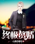 终极赘婿