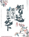 重回气运被夺后我名满天下 小说