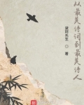 从最美诗词到最美诗人