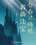 我的法宝遍布修真界小说
