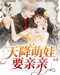 天降萌娃求宠爱