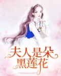 重生夫人是朵黑莲花全文免费阅读