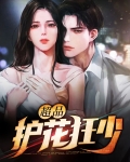 护花狂少沈浪