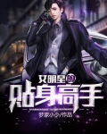 女明星的贴身高手百度百科