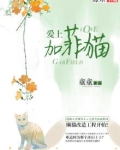 爱上加菲猫