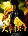 大帝至尊叶辰