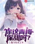 青梅是你小说