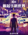 大亨崛起从新世界开始