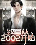 致富从2002开始
